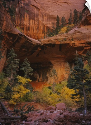 Trees in front of a cave, Zion National Park, Utah