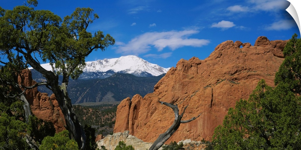 Landscape wall art of trees growing among rocks in wilderness with snowcapped peaks in the background.