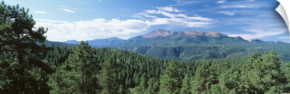 Panoramic photograph of forest tree tops with mountains in the distance under a cloudy sky.