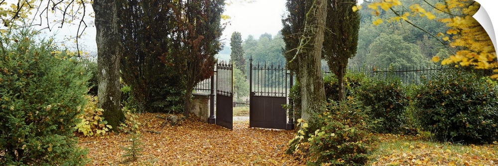 An iron wrought gate is partially open in this rustic garden filled with autumn leaves in a panoramic photograph.