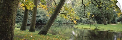 Trees near a pond in a park, Vondelpark, Amsterdam, Netherlands