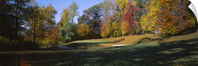 Trees on a golf course, Hercules Country Club, Delaware