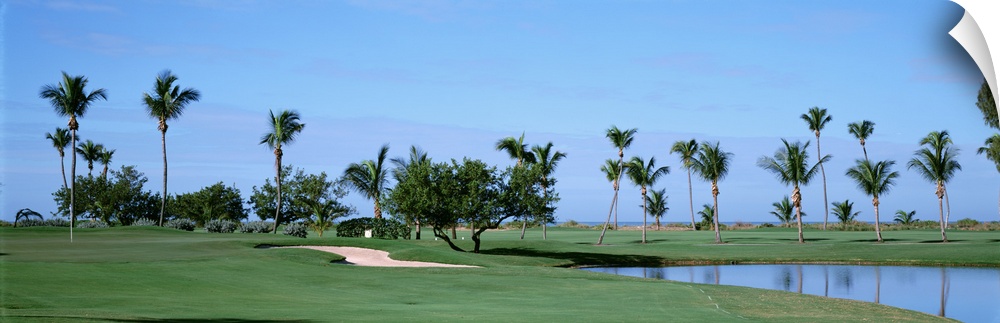 Trees on a golf course, South Seas Plantation, Captiva Island, Florida