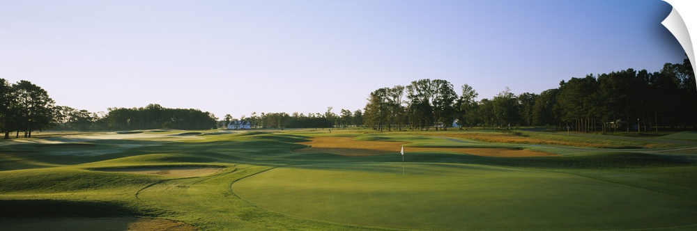 Trees on a golf course, The Carolina Club, Outer Banks, North Carolina