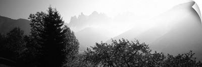 Trees on a landscape, Dolomites, Alto Adige, Trentino Alto Adige, Italy