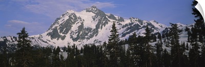 Trees on a snow covered mountain, Mt Shuksan, Mt Baker-Snoqualmie National Forest, Washington State