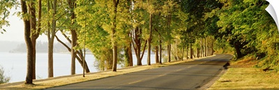 Trees on both sides of a road, Lake Washington Boulevard, Seattle, Washington State