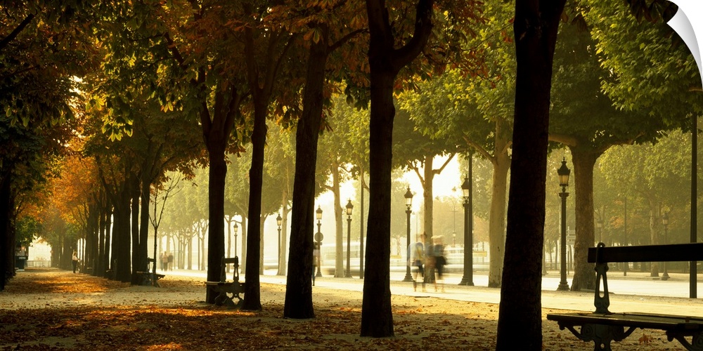 Panoramic photograph portrays a long sidewalk covered with leaves within Paris, France that is surrounded by tall trees, s...