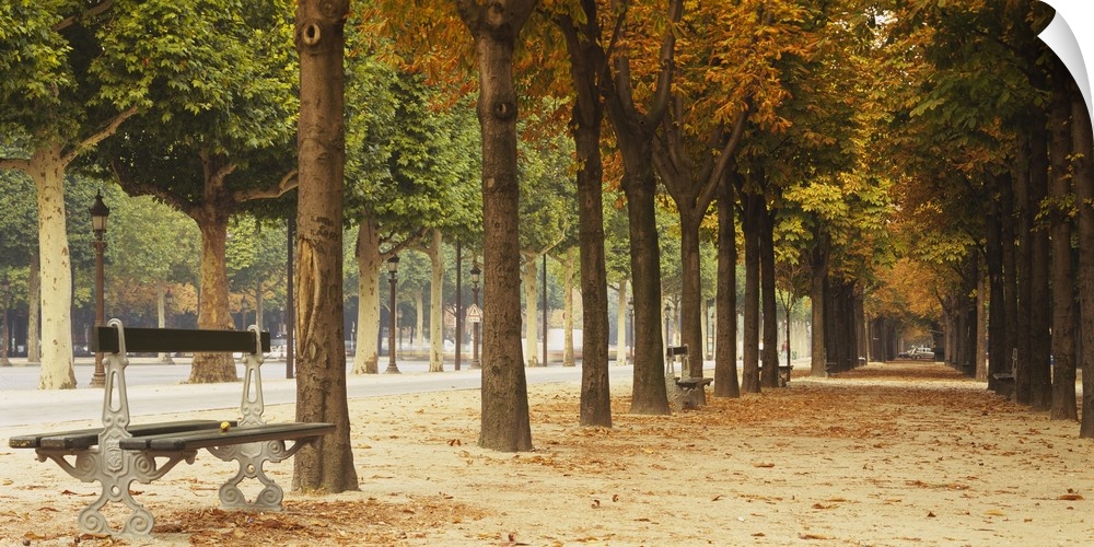 This panoramic photograph is looking down a long path with both trees and benches lining the sides.