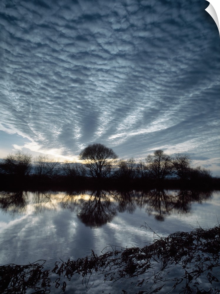 Tall wall docor of a blanket of clouds over a river with trees reflected on it.