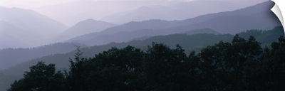 Trees with a mountain range in the background, Blue Ridge Parkway, North Carolina