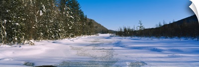 Tress along a frozen lake, Piseco Lake, Oxbow Lake, Adirondack Mountains, New York State