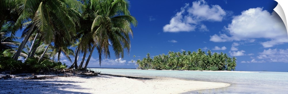 Palm trees leaning over the white sands and shallow water of the tropical South Pacific island on a perfect sunny day.