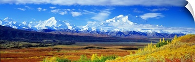 Tundra Alaska Range Mount McKinley Denali National Park AK