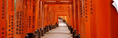 Tunnel of Torii Gates Fushimi Inari Shrine Kyoto Japan