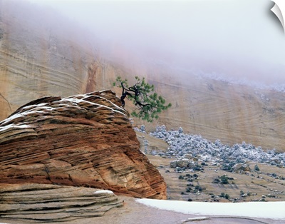 Utah, Zion National Park