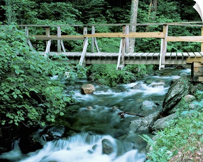 Vermont, Granville Gulf State Reservation, Creek flowing through Moss Glen Falls