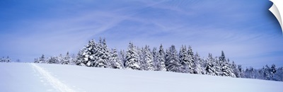Vermont, winter hillside with ski tracks