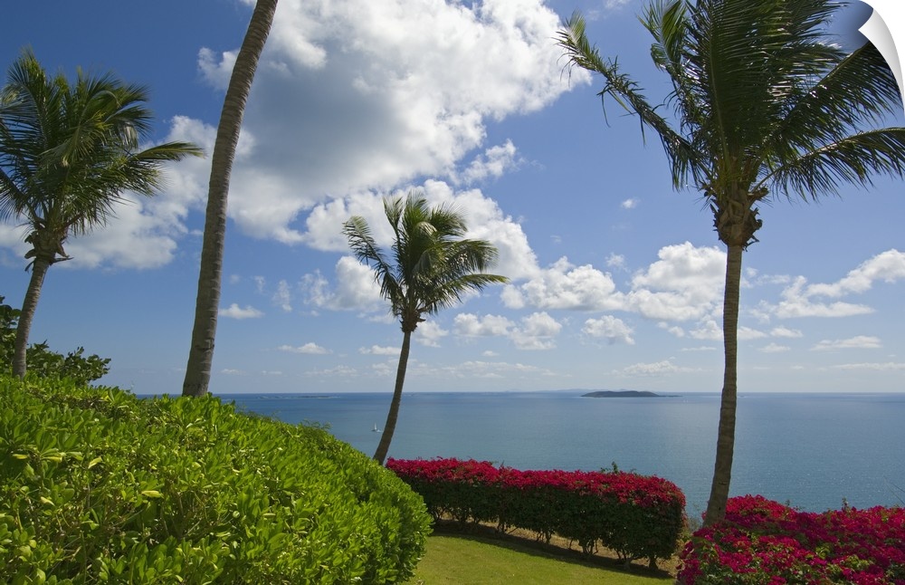 Wall art of palm trees and colored shrubs lining the ocean.