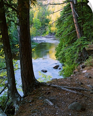 View of Gooseberry River through forest trees, Gooseberry Falls State Park, Minnesota