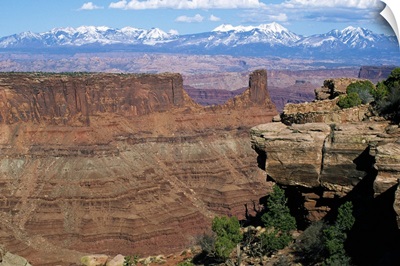View of Island in the Sky District, distant snow-capped mountains, Canyonlands National Park, Utah