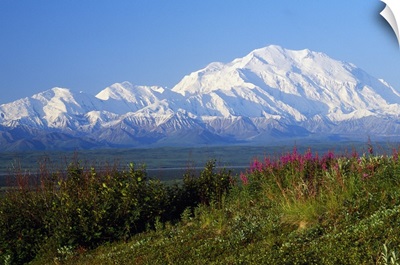 View of snow-covered Mount McKinley from Denali National Park, Alaska