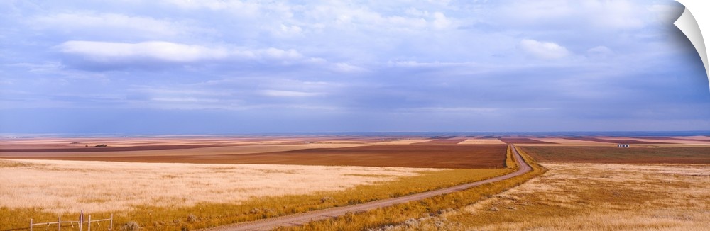 View of wheat fields, Carter, Chouteau County, Montana, USA.