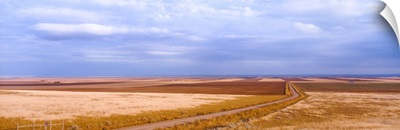 View of wheat fields, Carter, Chouteau County, Montana