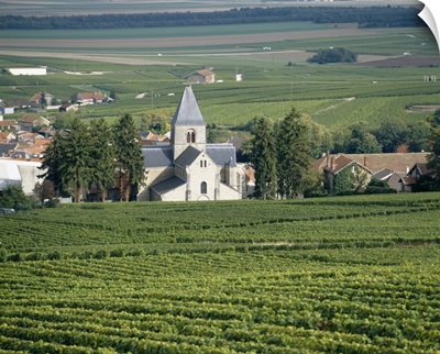 Vineyard near a village, Le Mesnil-Sur-Oger, Cote Des Blancs, Champagne, France