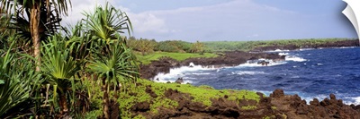 Wainanapanapa State Park Maui Coast HI
