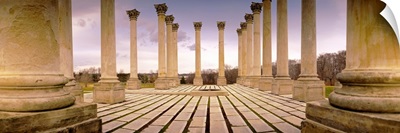 Walkway surrounded by freestanding columns, US Capitol Columns, National Arboretum, Washington DC