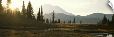 Washington, Mount Rainier National Park