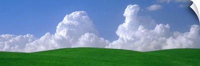 Washington, Palouse, wheat and clouds