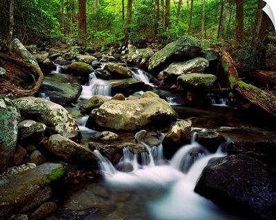 Water cascading over rocks, LeConte Creek, Great Smoky Mountains National Park, Tennessee
