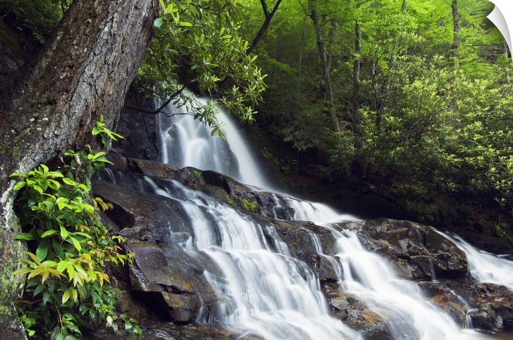 This is a landscape photograph of a waterfall in the forest of a park in the Appalachian Mountains.