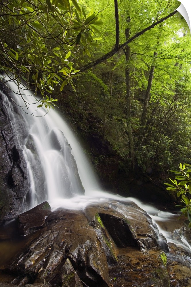This vertical nature photograph is a waterfall tumbling over large rocks in a forest in the Appalachian Mountains.