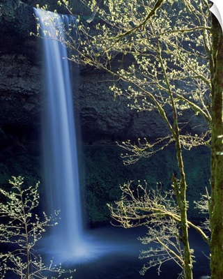 Water falling into a creek, Silver Creek, South Falls, Silver Falls State Park, Oregon