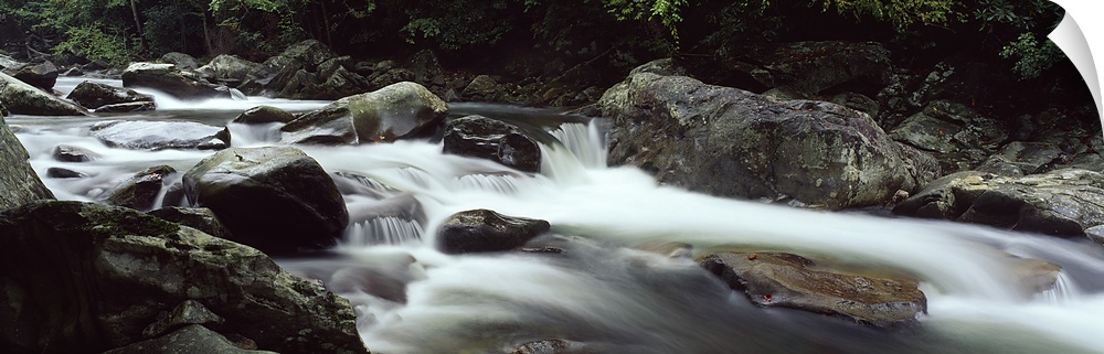 Little River, Great Smoky Mountains National Park, Tennessee, USA