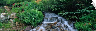 Waterfall CO