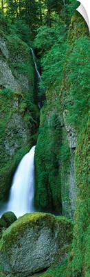 Waterfall in a forest, Columbia River Gorge, Oregon,