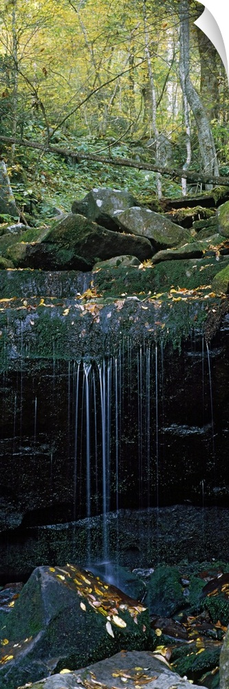 This wall art is a vertical, panoramic photograph of water trickling down a rock shelf in an Appalachian forest.