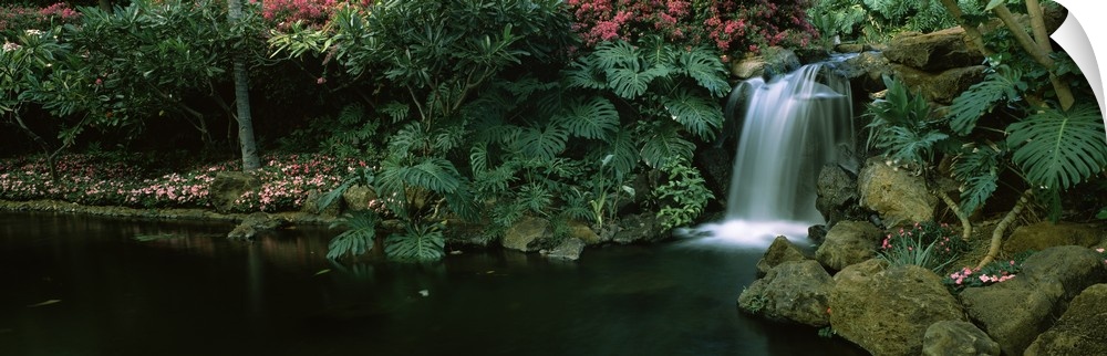 A panoramic photograph of a tropical garden, small cascade tumbles into a circular pool lined with palm fronts and small t...