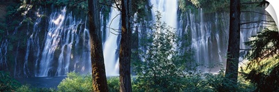 Waterfall in a forest, McArthur Burney Falls Memorial State Park, California,