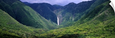 Waterfall in a forest, Moaula Falls, Halawa Valley, Molokai, Hawaii