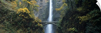 Waterfall in a forest Multnomah Falls Columbia River Gorge Multnomah County Oregon