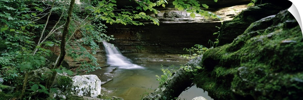 Waterfall in a forest, Natural Bridge, Lost Valley State Park, Ozark National Forest, Ozark Mountains, Arkansas