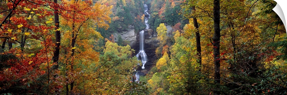 This panoramic wall art is a photograph of a waterfall cascading down a sheet rock face in an autumn forest in the Appalac...