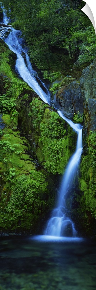 Waterfall in a forest, Sullivan Falls, Opal Creek Wilderness, Oregon