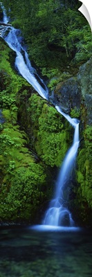 Waterfall in a forest, Sullivan Falls, Opal Creek Wilderness, Oregon