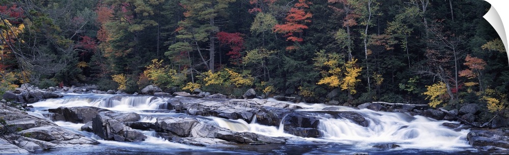 Waterfall in a forest, Swift River, Conway, Carroll County, New Hampshire